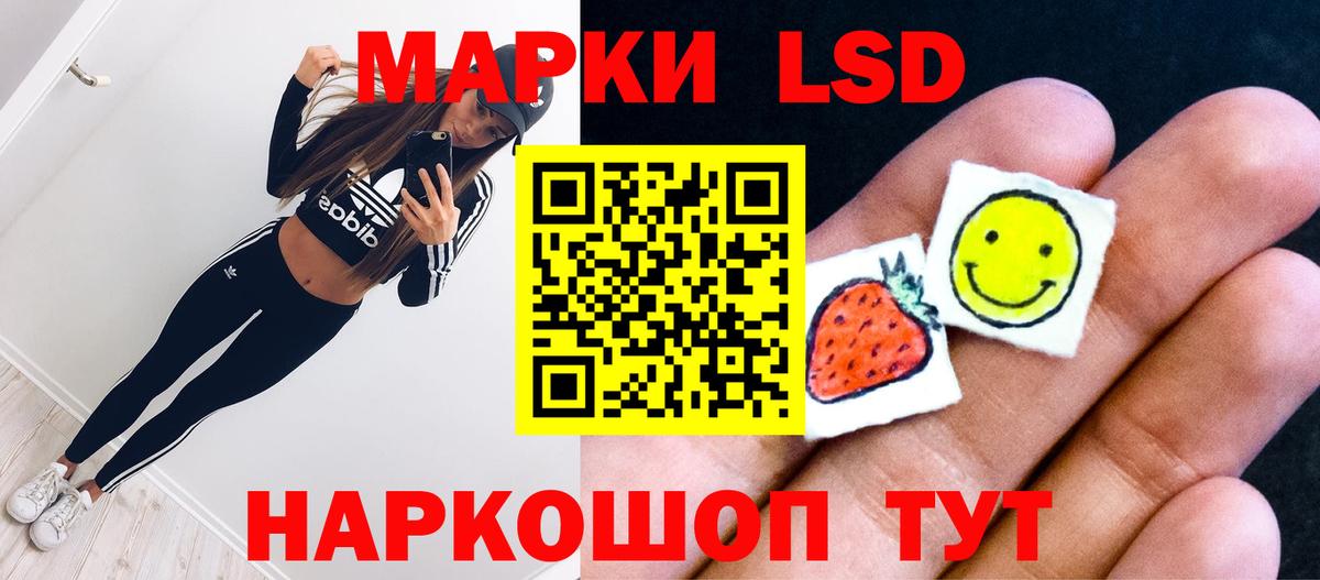 Новозыбков  ЛСД экстази ecstasy  Лсд 25 экстази кислота  Вход с VPN 