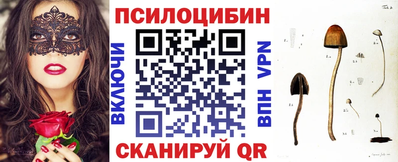 Псилоцибиновые грибы мухоморы  купить закладку  Новозыбков 